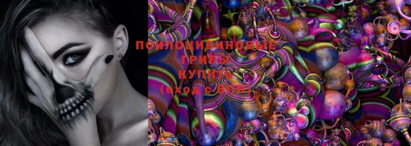 мдпв Вязьма